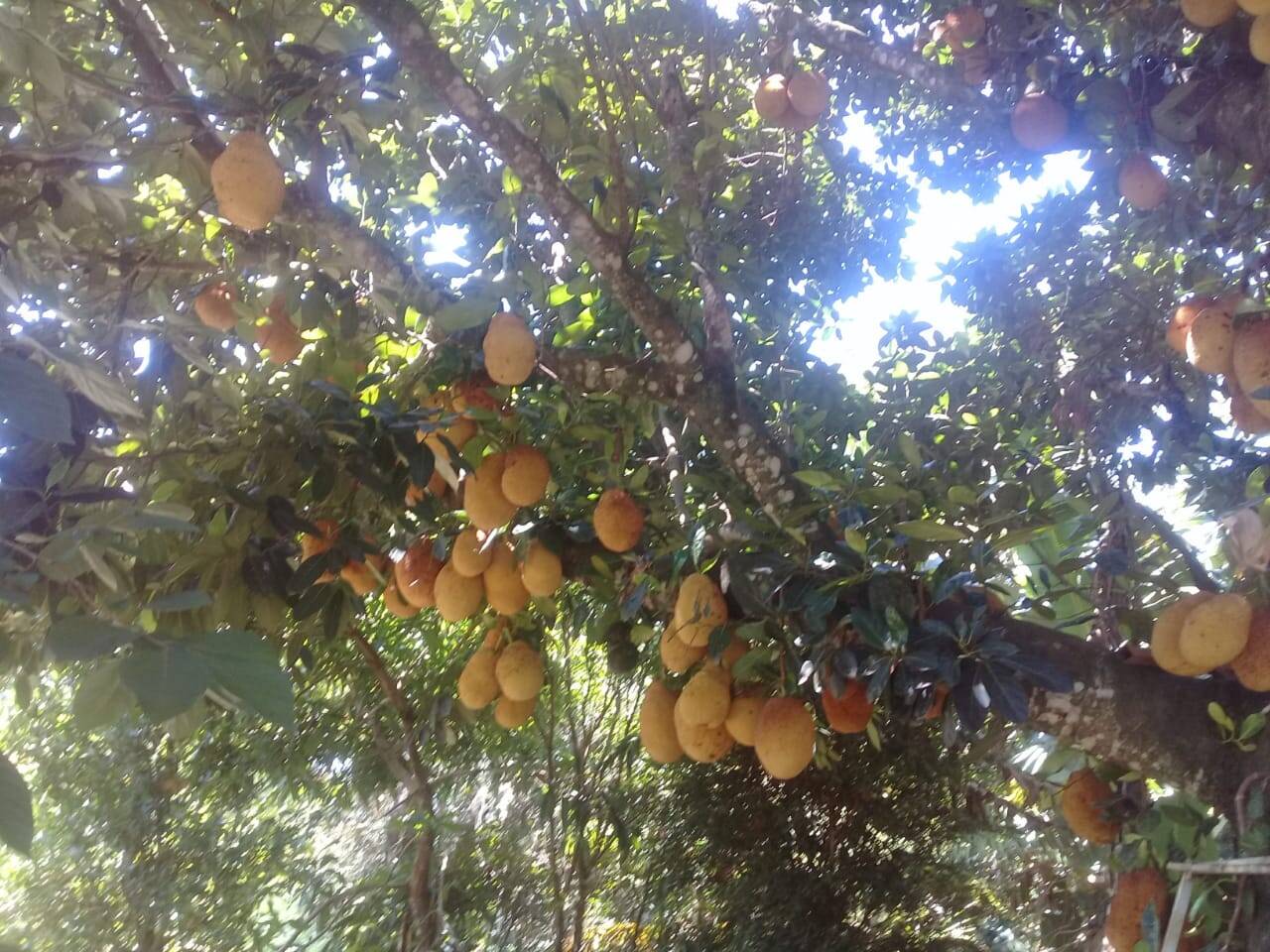 Chácara em Igaratá/São Paulo — Ref KFAW2U — Imagem 13