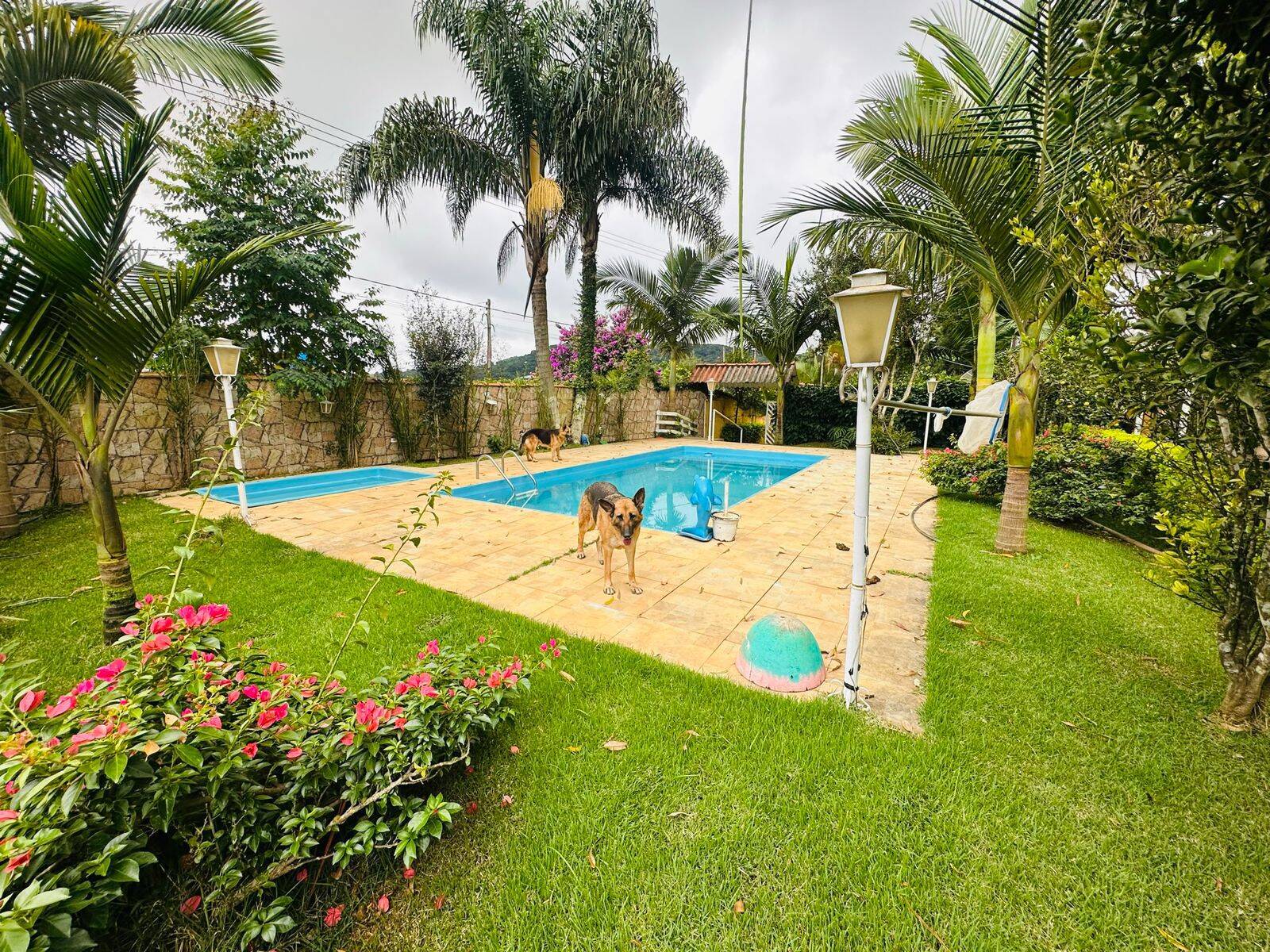 #2541 - Chácara para Venda em Mairiporã - SP