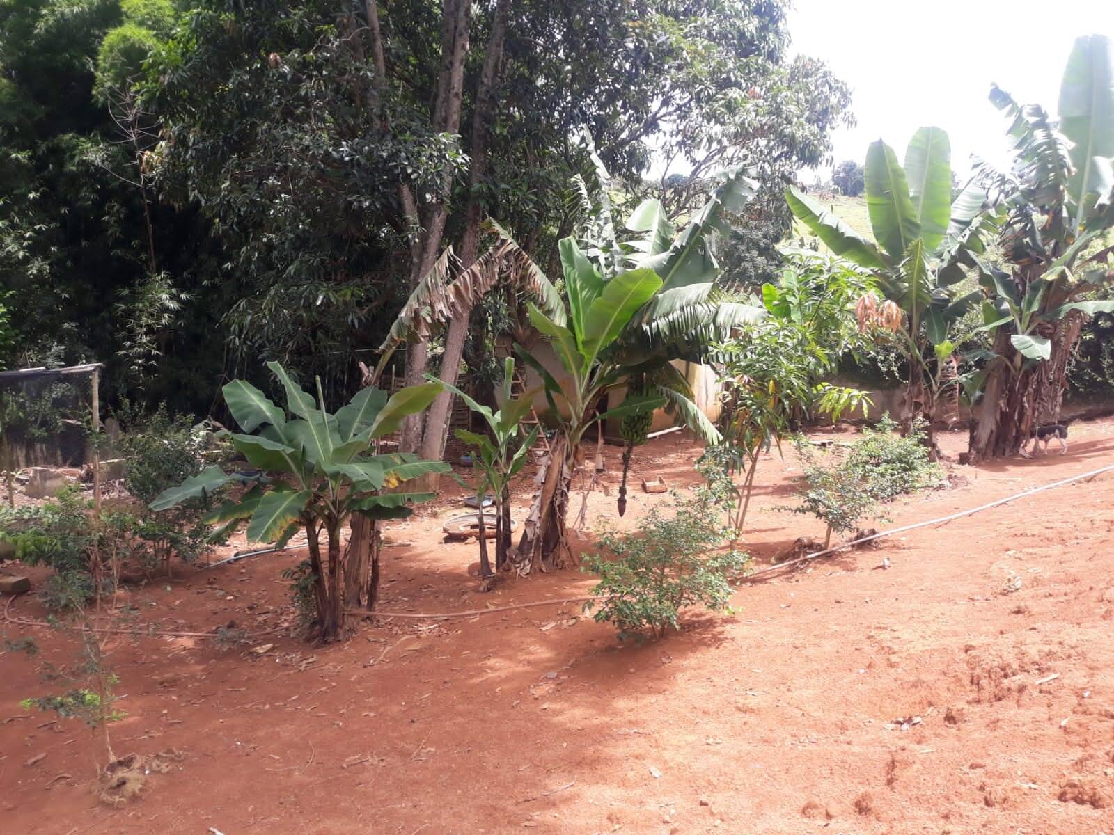 Chácara em Atibaia/São Paulo — Ref B2EG7L — Imagem 13