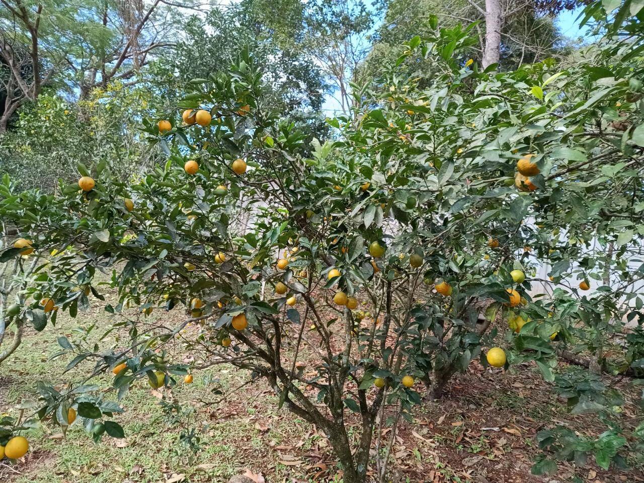 Chácara em Santa Isabel/São Paulo — Ref FX62DM — Imagem 18