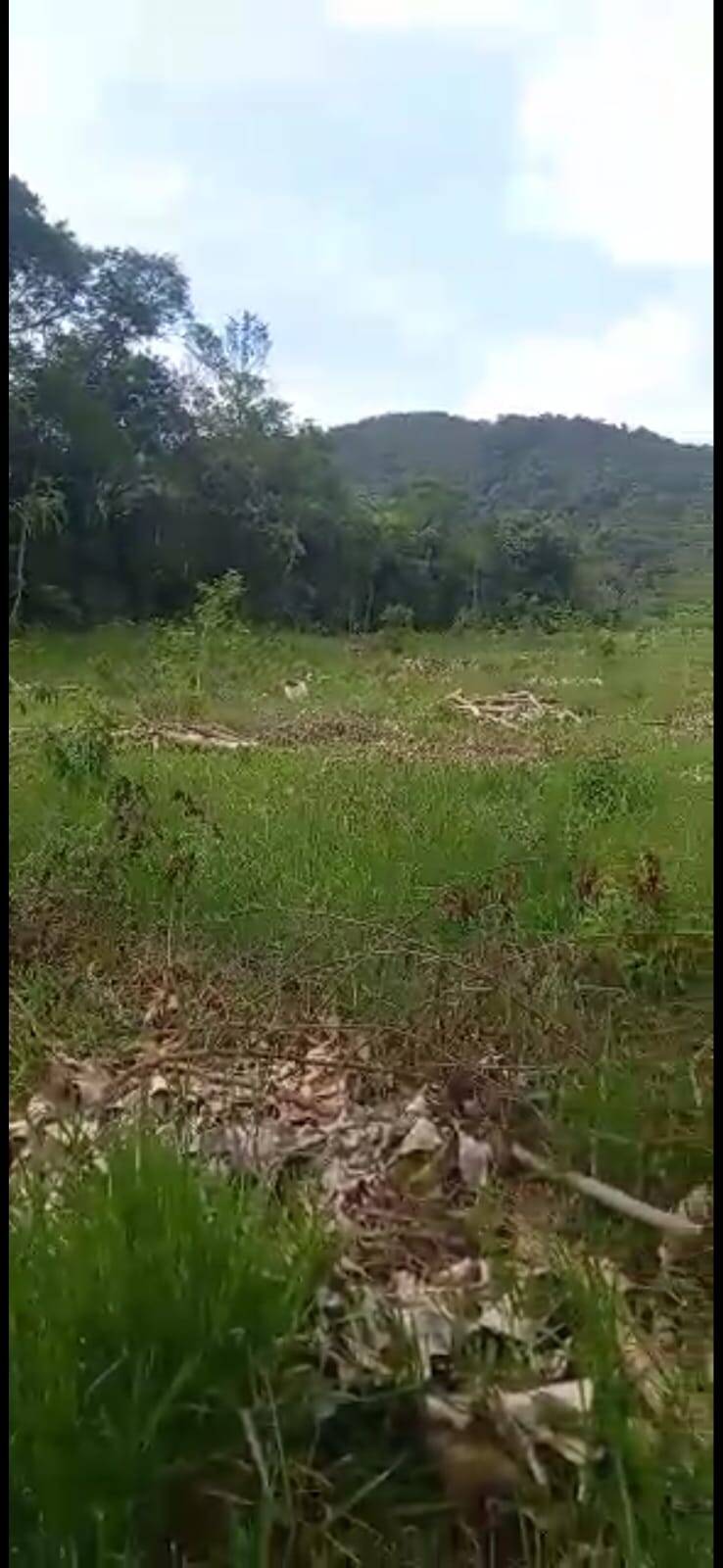 #1671 - Terreno para Venda em Santa Isabel - SP