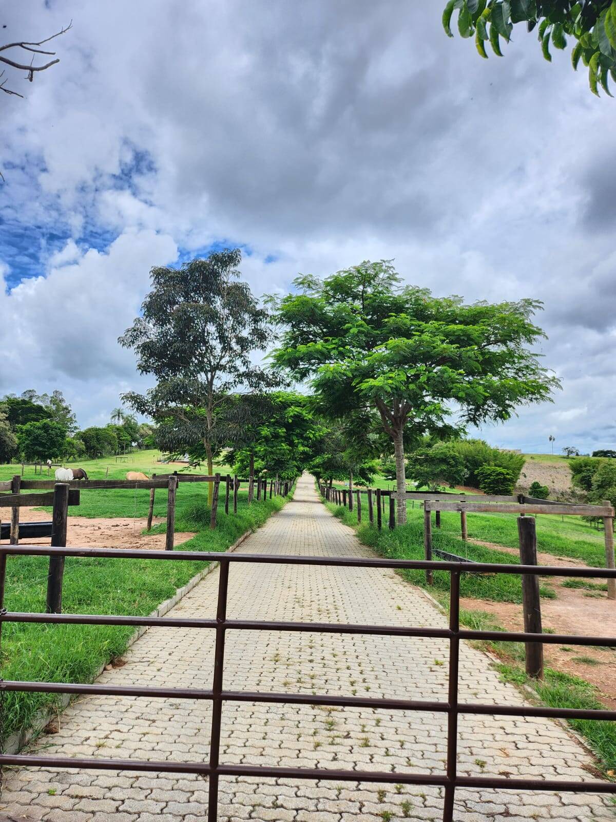 Haras em Itatiba/São Paulo — Ref 3BHXSR — Imagem 5