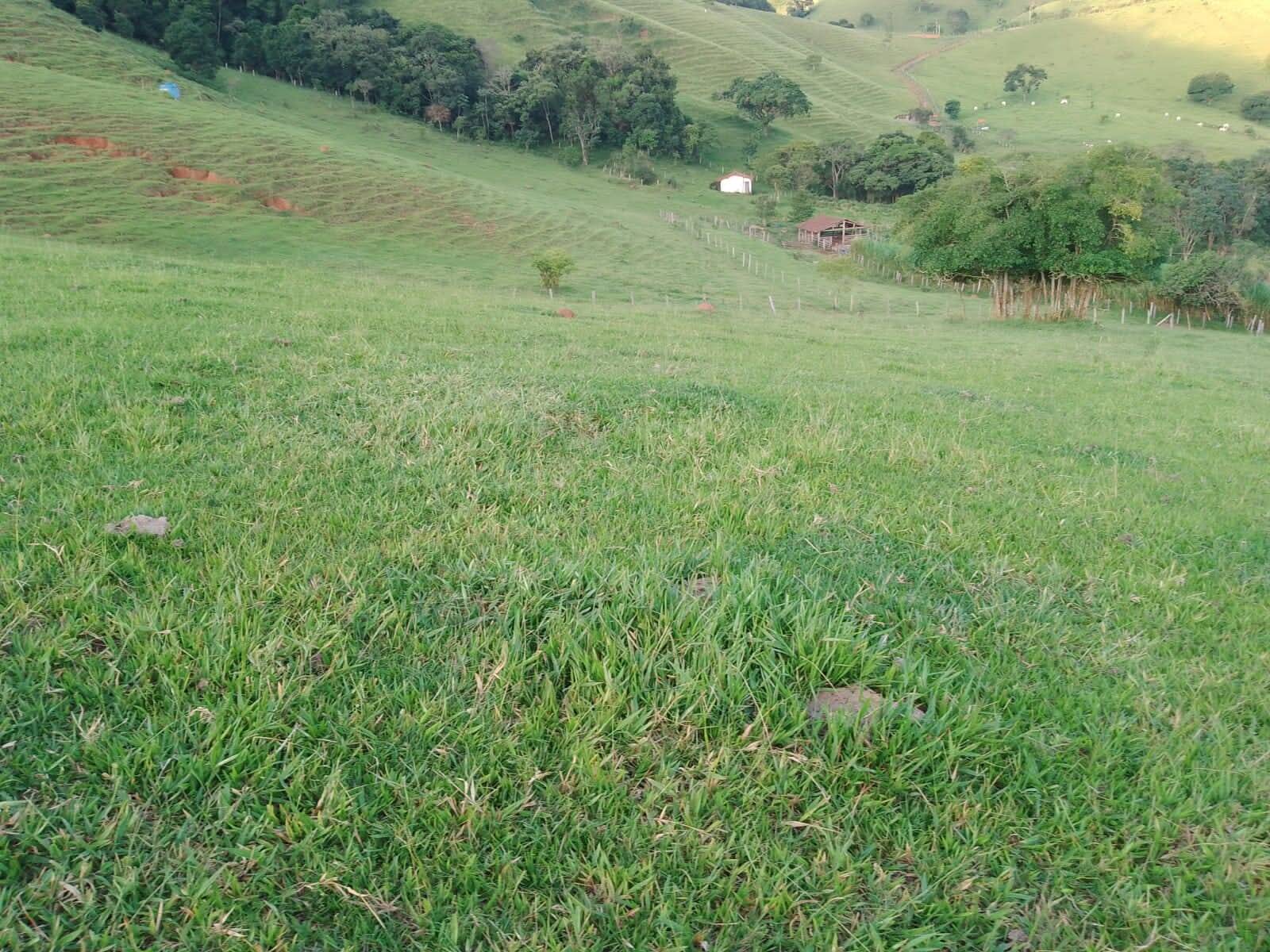 #2709 - Sítio para Venda em Piracaia - SP