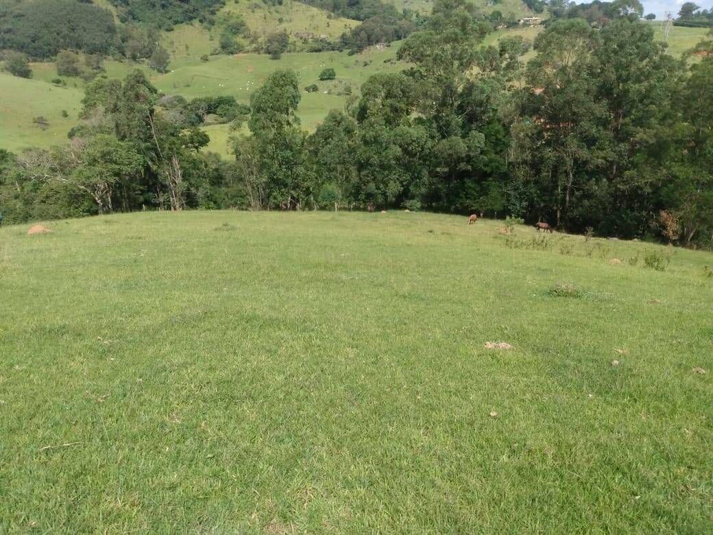 Sítio em Piracaia/São Paulo — Ref NLCX5L — Imagem 9