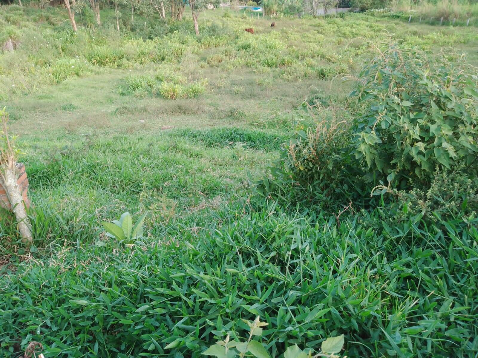 Sítio em Piracaia/São Paulo — Ref NLCX5L — Imagem 11