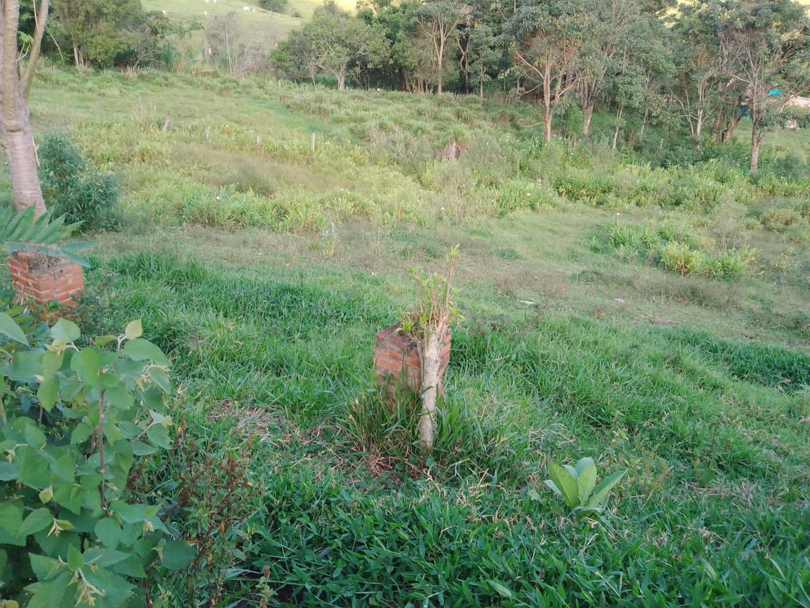 Sítio em Piracaia/São Paulo — Ref NLCX5L — Imagem 12