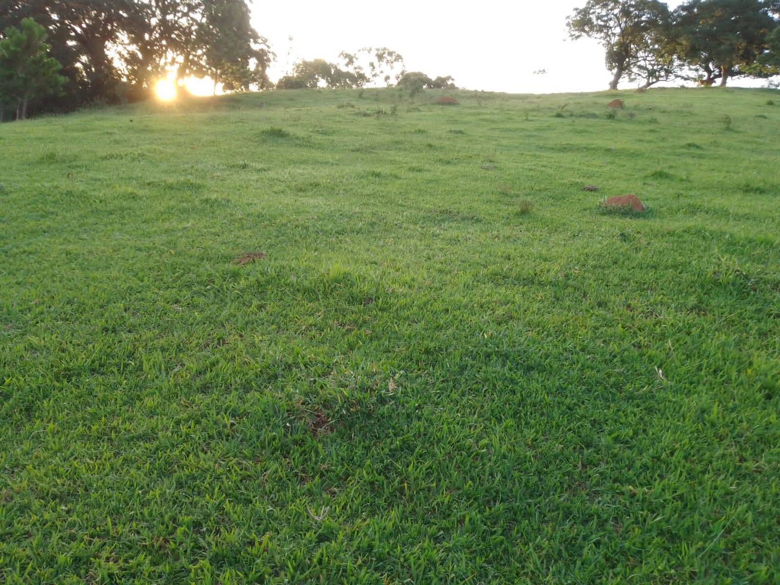 Sítio em Piracaia/São Paulo — Ref NLCX5L — Imagem 13