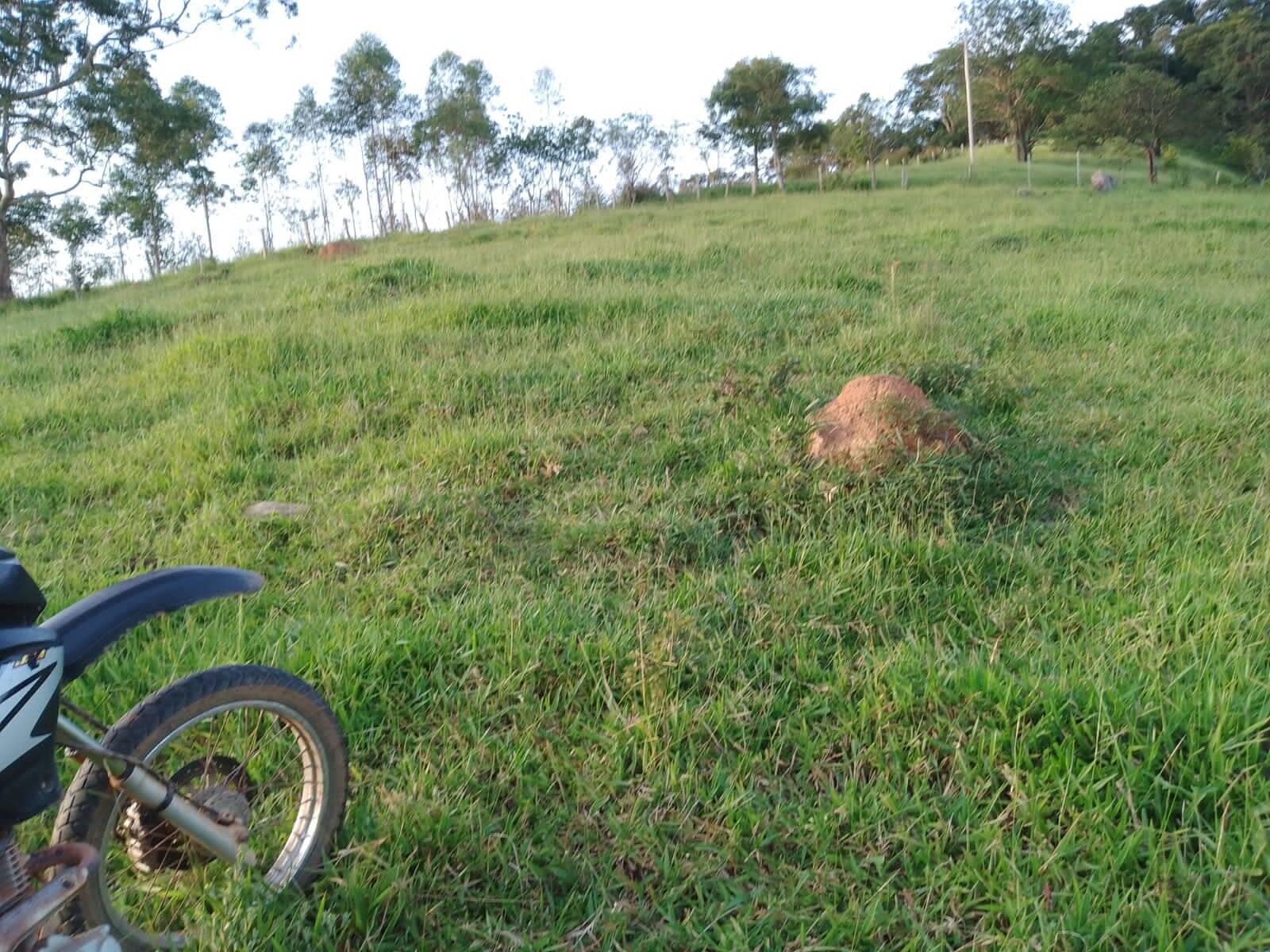 Sítio em Piracaia/São Paulo — Ref NLCX5L — Imagem 17