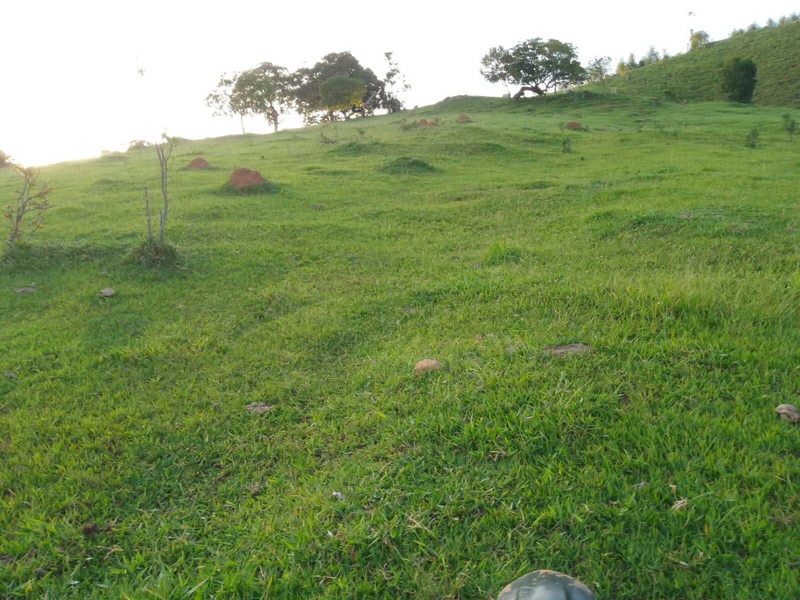 Sítio em Piracaia/São Paulo — Ref NLCX5L — Imagem 2