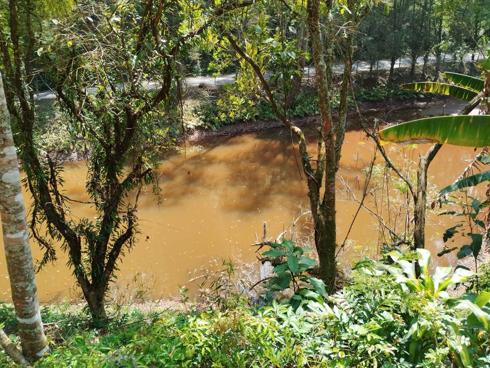 Sítio em Piracaia/São Paulo — Ref PXZ04Q — Imagem 7