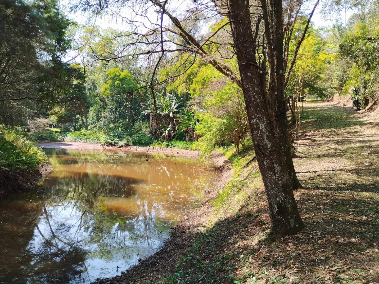 #1273 - Sítio para Venda em Piracaia - SP