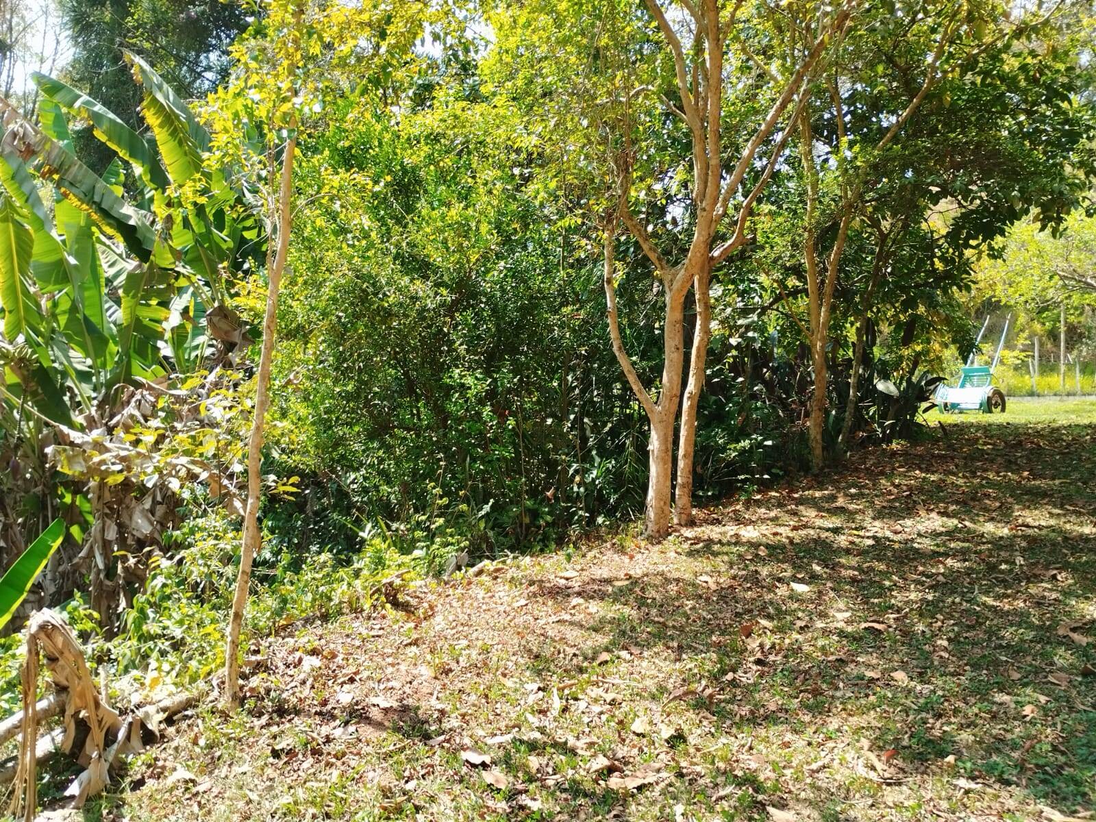 Sítio em Piracaia/São Paulo — Ref PXZ04Q — Imagem 11