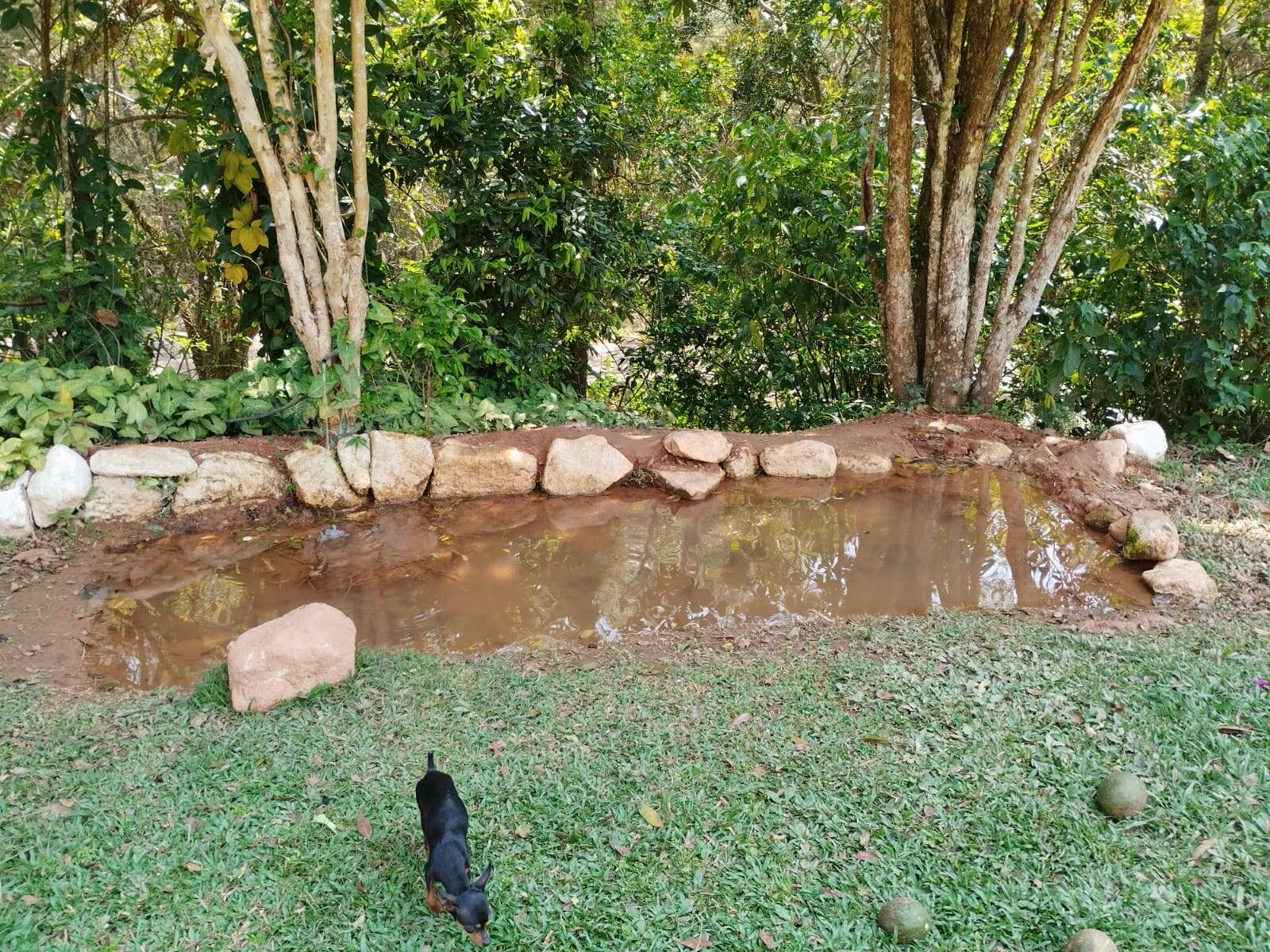 Sítio em Piracaia/São Paulo — Ref PXZ04Q — Imagem 15