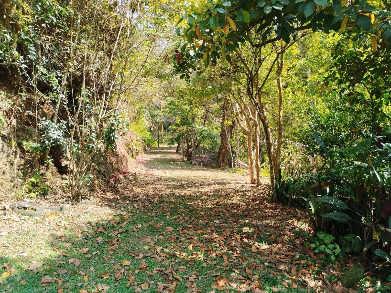 Sítio em Piracaia/São Paulo — Ref PXZ04Q — Imagem 18