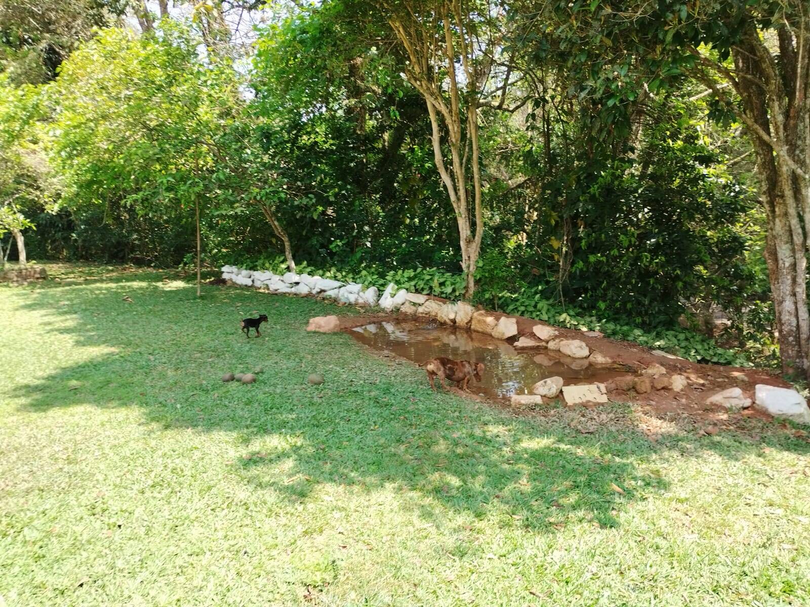 Sítio em Piracaia/São Paulo — Ref PXZ04Q — Imagem 25