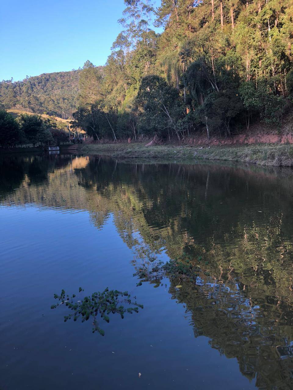 #1358 - Sítio para Venda em Piracaia - SP