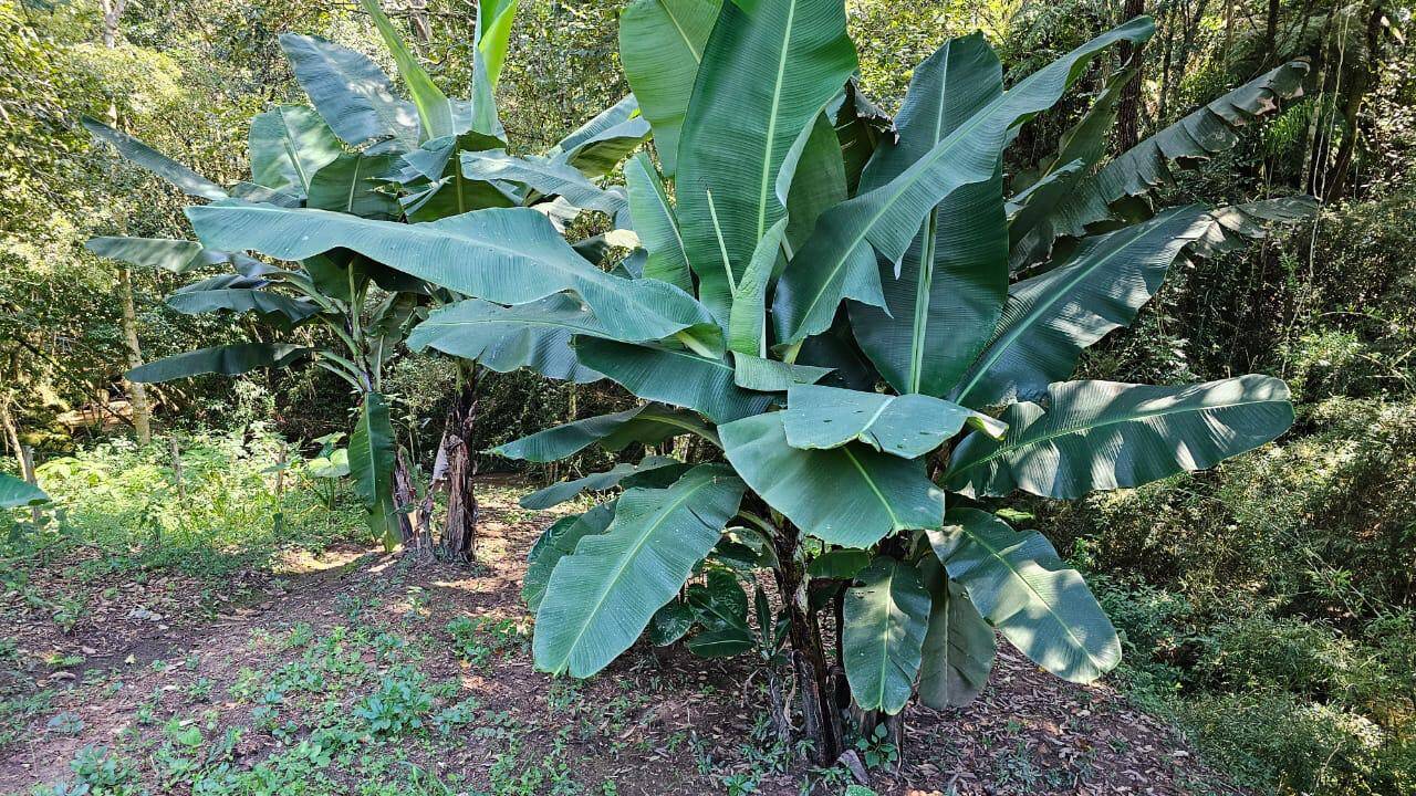 Chácara em Pedra Bela/São Paulo — Ref 0BVY1I — Imagem 14