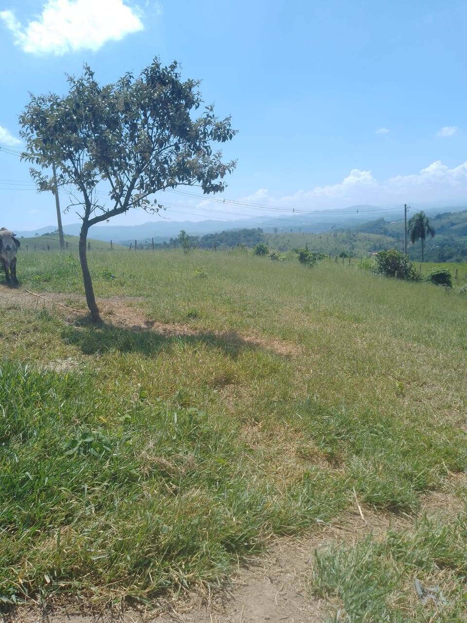 #2160 - Terreno para Venda em Santa Isabel - SP