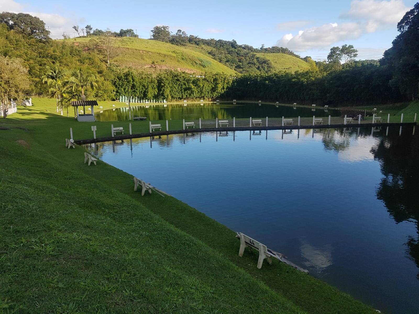 #1580 - Sítio para Venda em Santa Isabel - SP