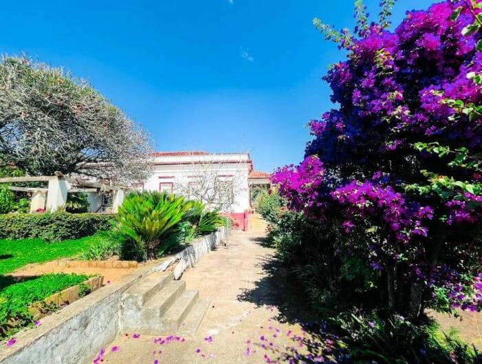 Fazenda em Serra Negra/São Paulo — Ref BWEOHA — Imagem 13