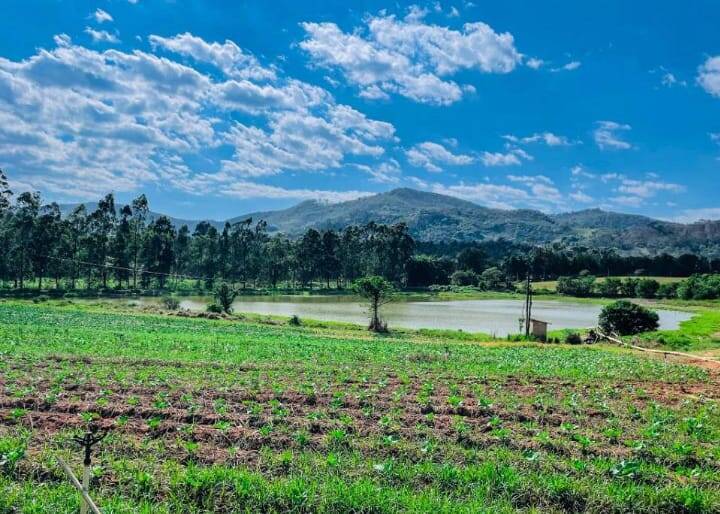 #0604 - Fazenda para Venda em Serra Negra - SP