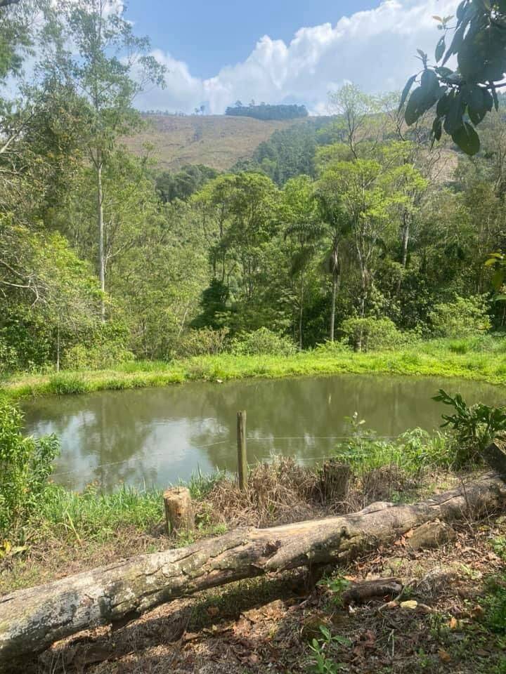 Sítio em Joanópolis/São Paulo — Ref CEMX3N — Imagem 2