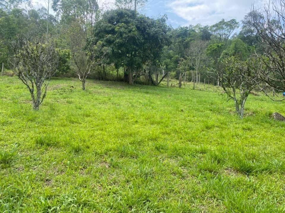 Sítio em Joanópolis/São Paulo — Ref CEMX3N — Imagem 31