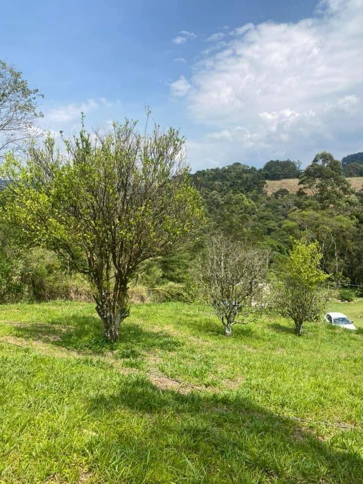 Sítio em Joanópolis/São Paulo — Ref CEMX3N — Imagem 30