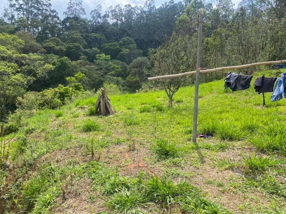 Sítio em Joanópolis/São Paulo — Ref CEMX3N — Imagem 33