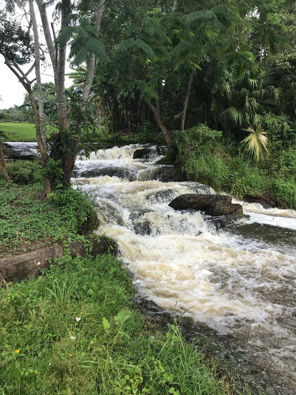 Sítio em Santa Isabel/São Paulo — Ref IZ6TAY — Imagem 9