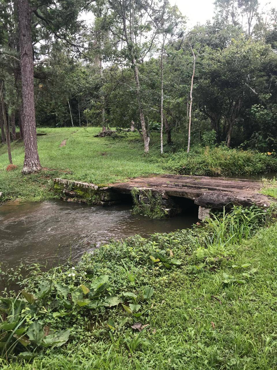 Sítio em Santa Isabel/São Paulo — Ref IZ6TAY — Imagem 13