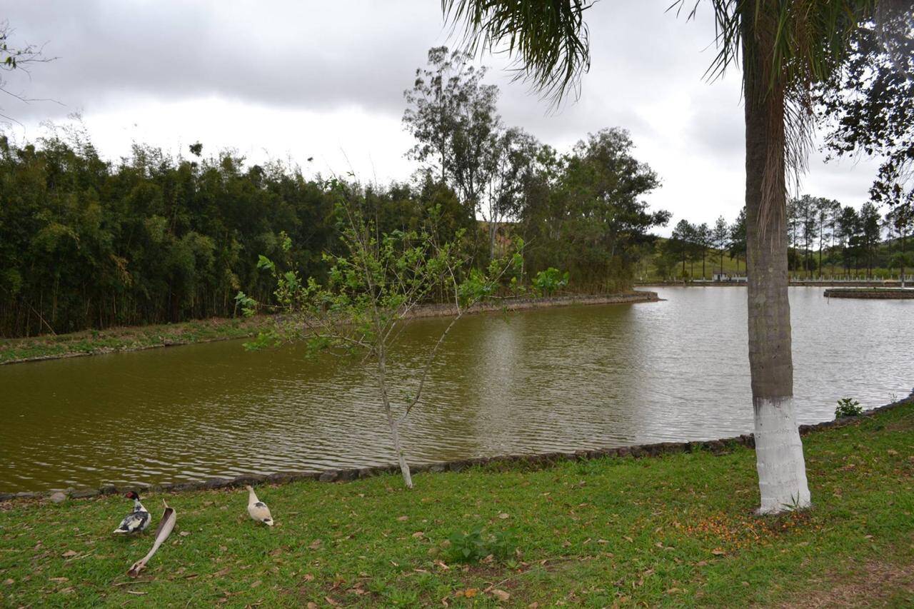 Sítio em Santa Isabel/São Paulo — Ref IZ6TAY — Imagem 14