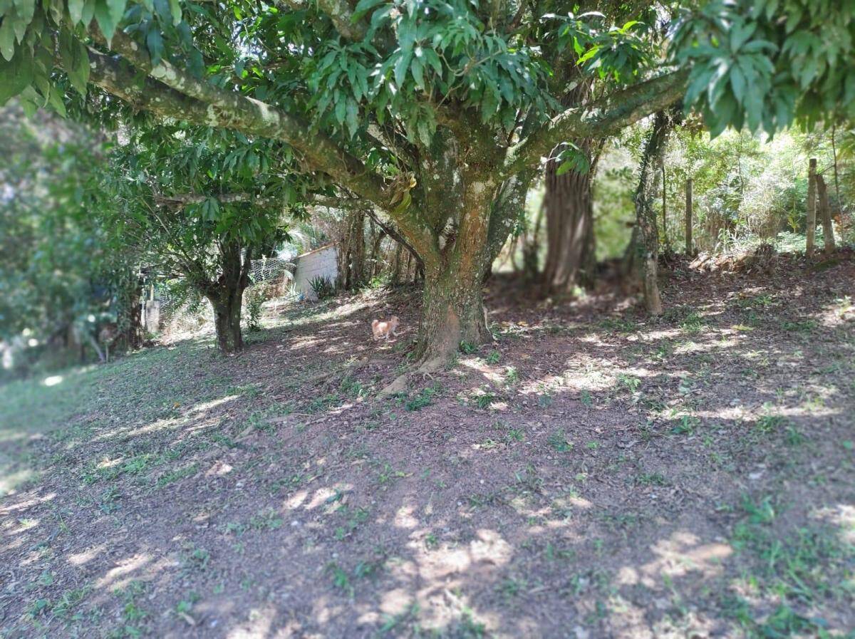 Chácara em Pinhalzinho/São Paulo — Ref A37UUQ — Imagem 5