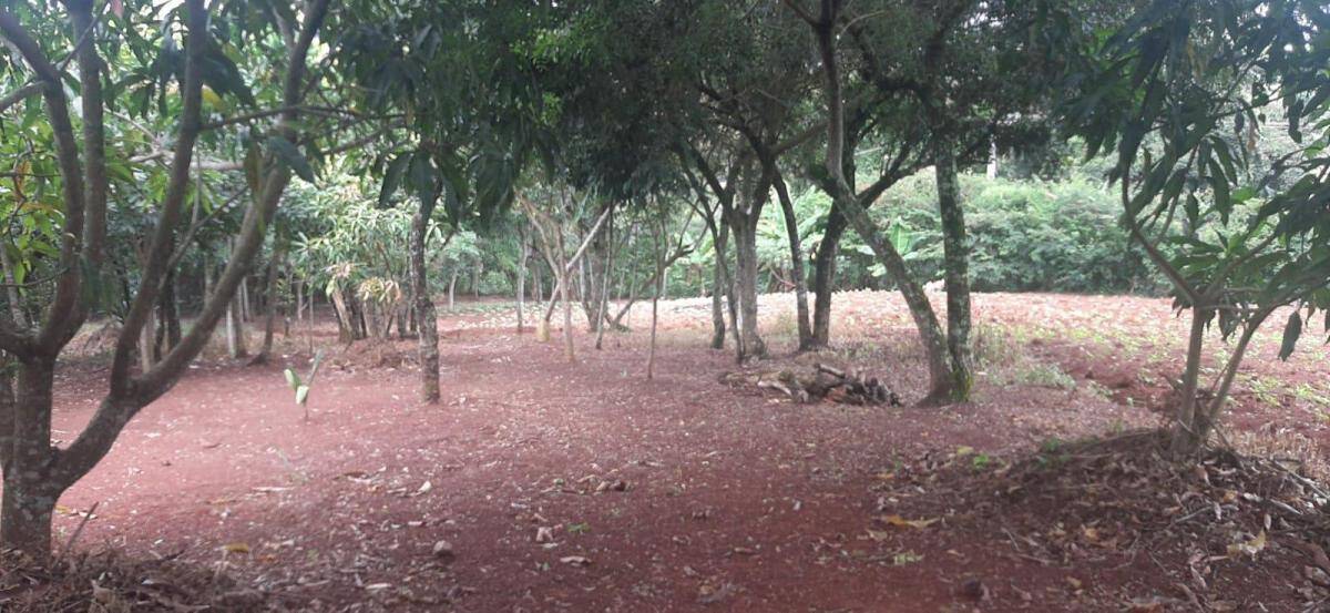 Chácara em Tuiuti/São Paulo — Ref J775Q0 — Imagem 29
