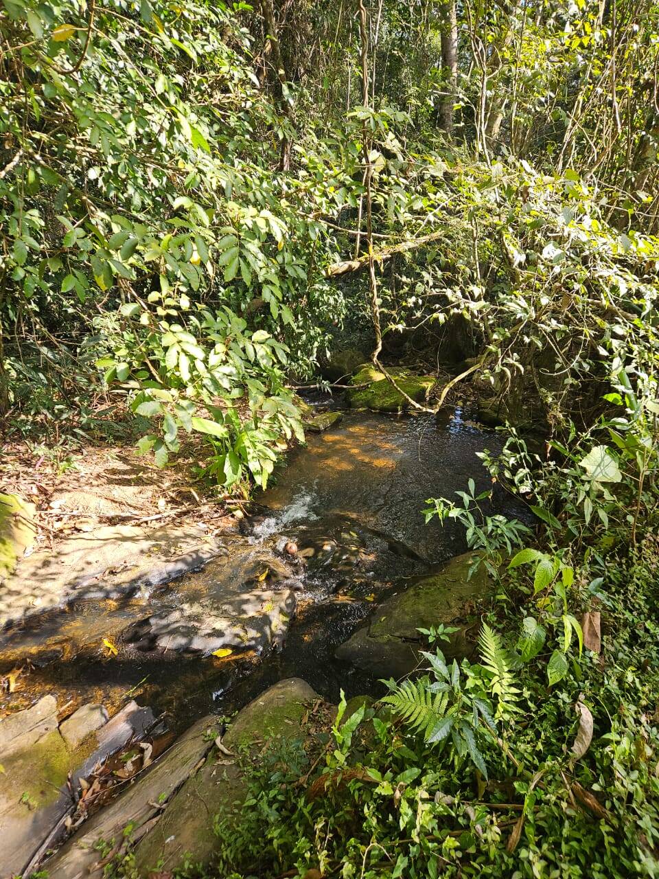 #2215 - Chácara para Venda em Nazaré Paulista - SP