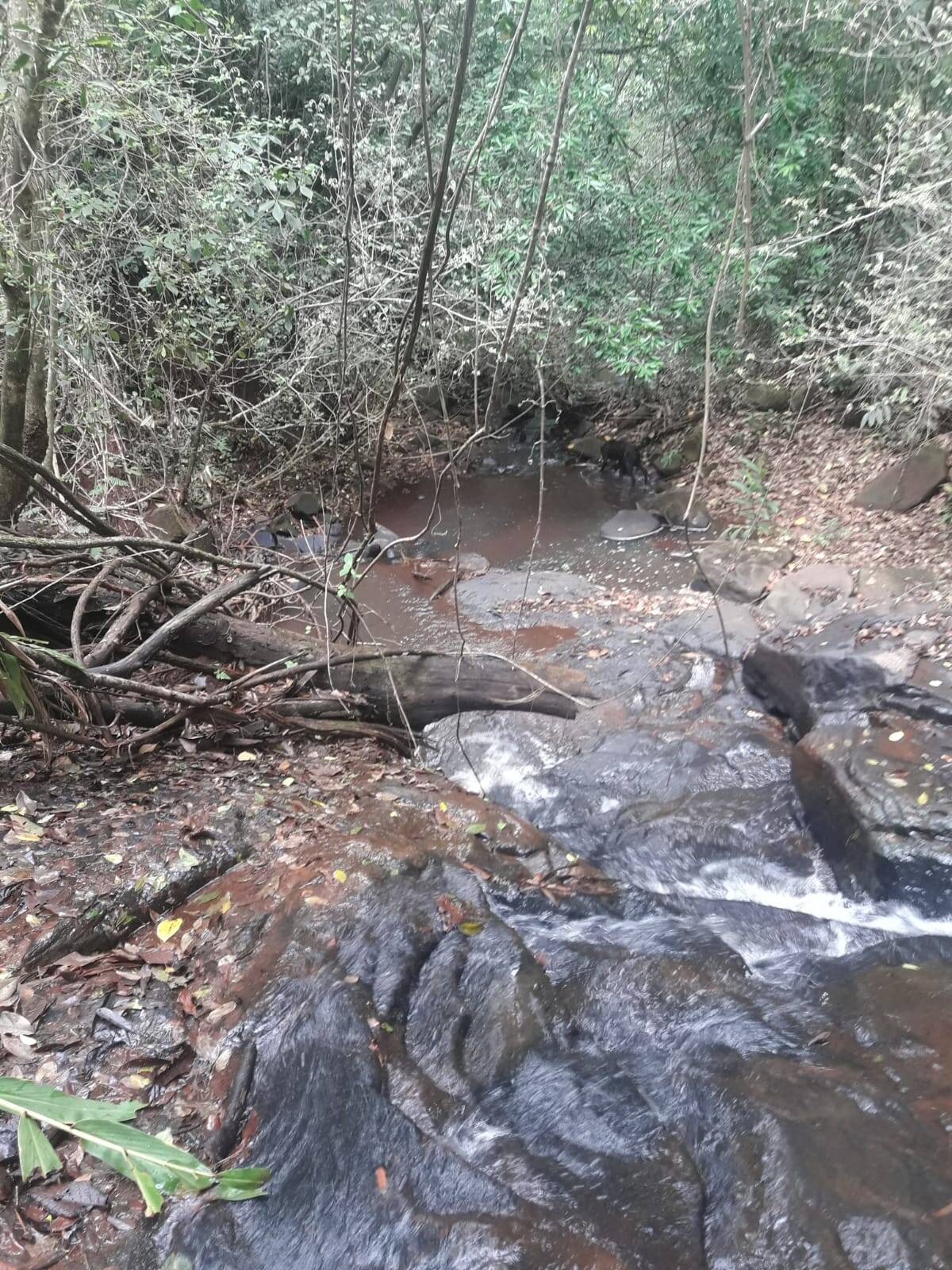 #2655 - Sítio para Venda em São Tomás de Aquino - MG