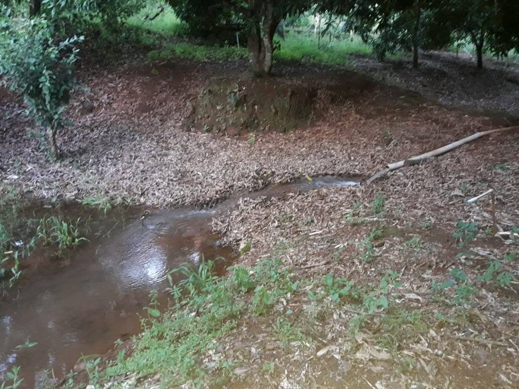 Sítio em São Tomás de Aquino/Minas Gerais — Ref UPHZDS — Imagem 4
