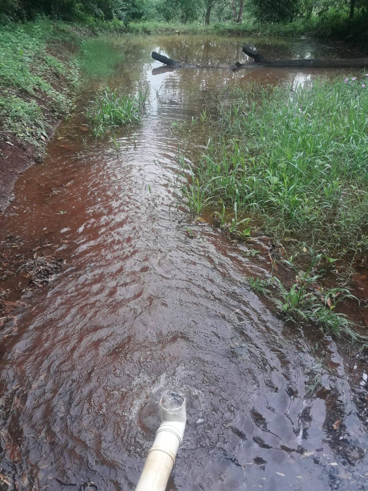 Sítio em São Tomás de Aquino/Minas Gerais — Ref UPHZDS — Imagem 8