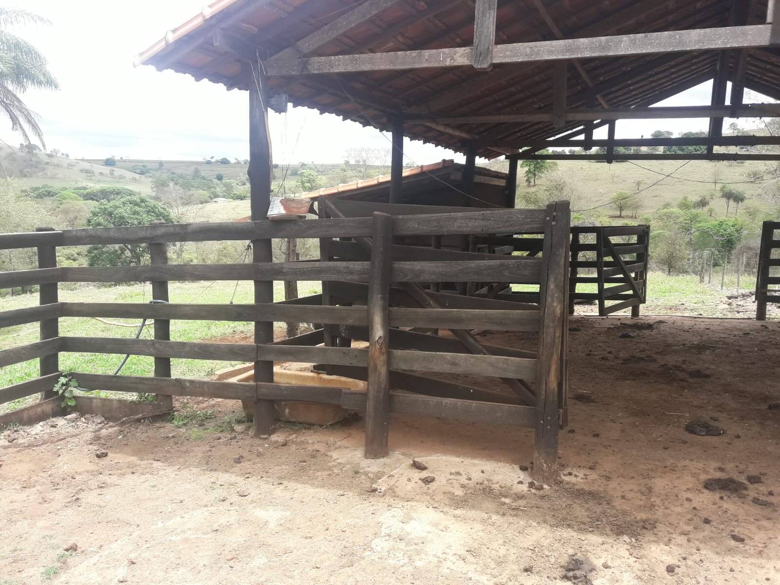 Sítio em São Tomás de Aquino/Minas Gerais — Ref UPHZDS — Imagem 9