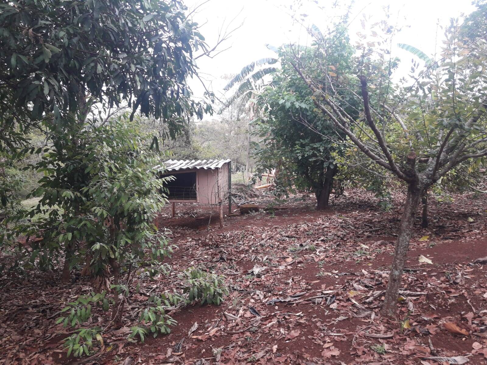 Sítio em São Tomás de Aquino/Minas Gerais — Ref UPHZDS — Imagem 18