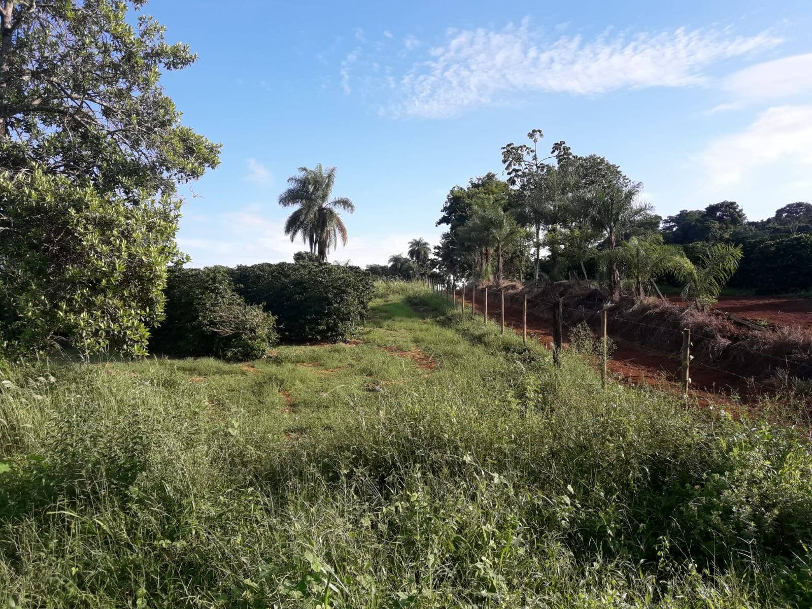 Sítio em São Tomás de Aquino/Minas Gerais — Ref UPHZDS — Imagem 20