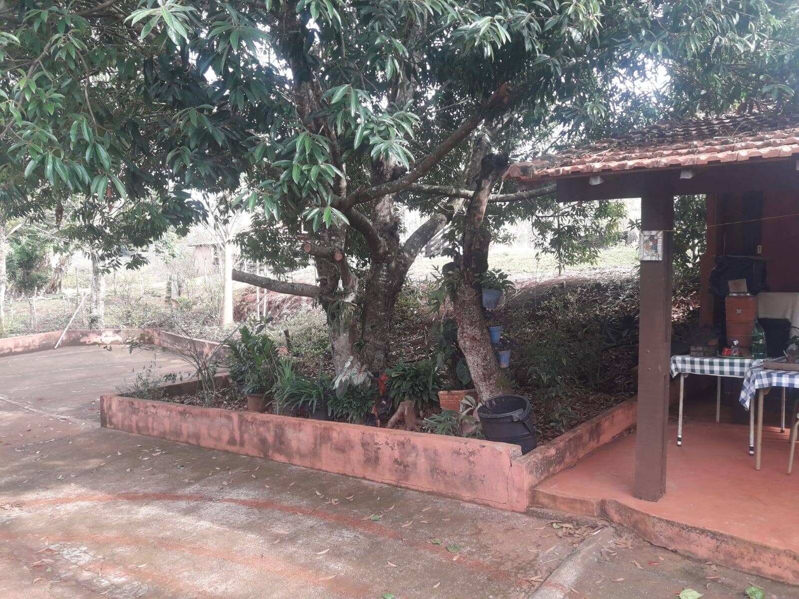 Sítio em São Tomás de Aquino/Minas Gerais — Ref UPHZDS — Imagem 19
