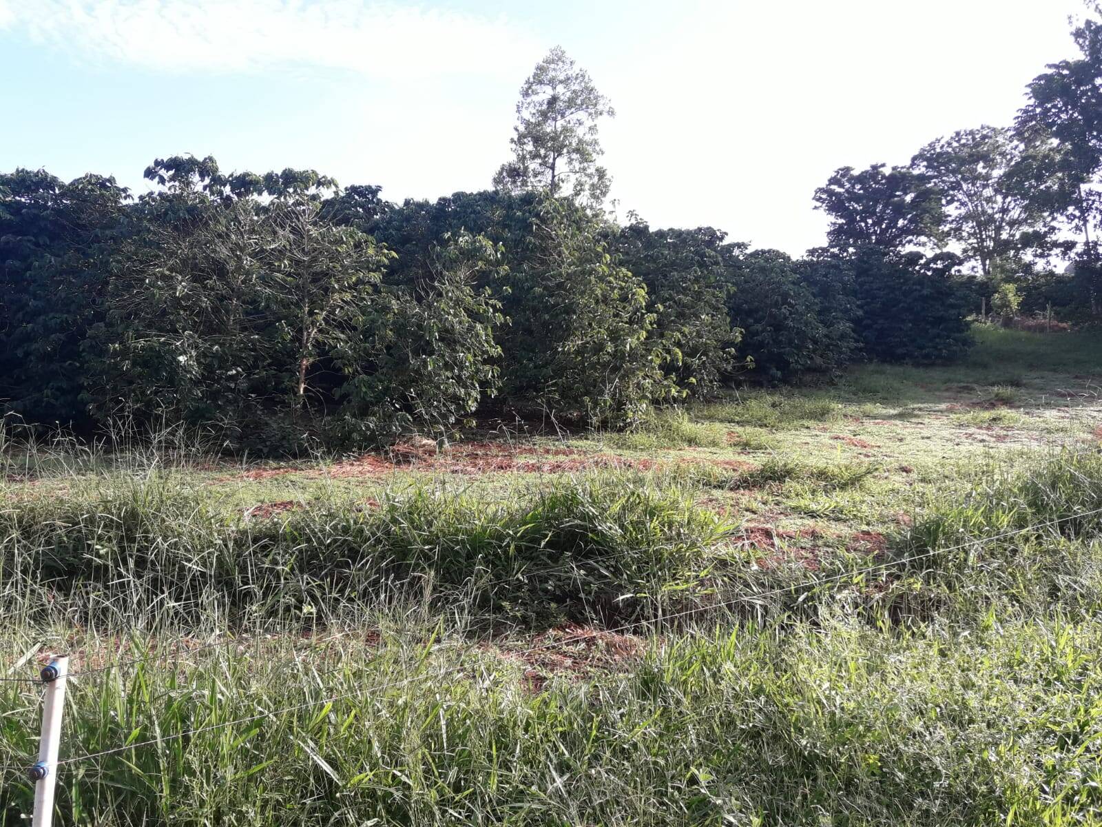 Sítio em São Tomás de Aquino/Minas Gerais — Ref UPHZDS — Imagem 26