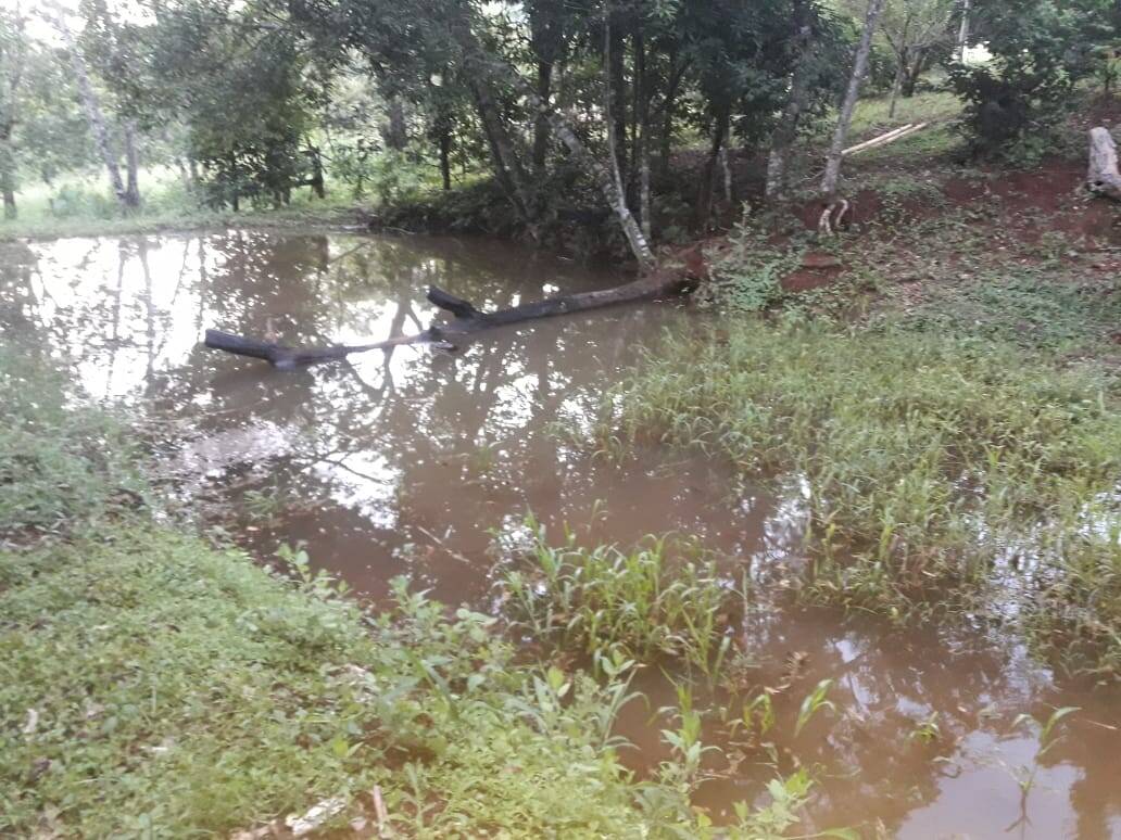 Sítio em São Tomás de Aquino/Minas Gerais — Ref UPHZDS — Imagem 24