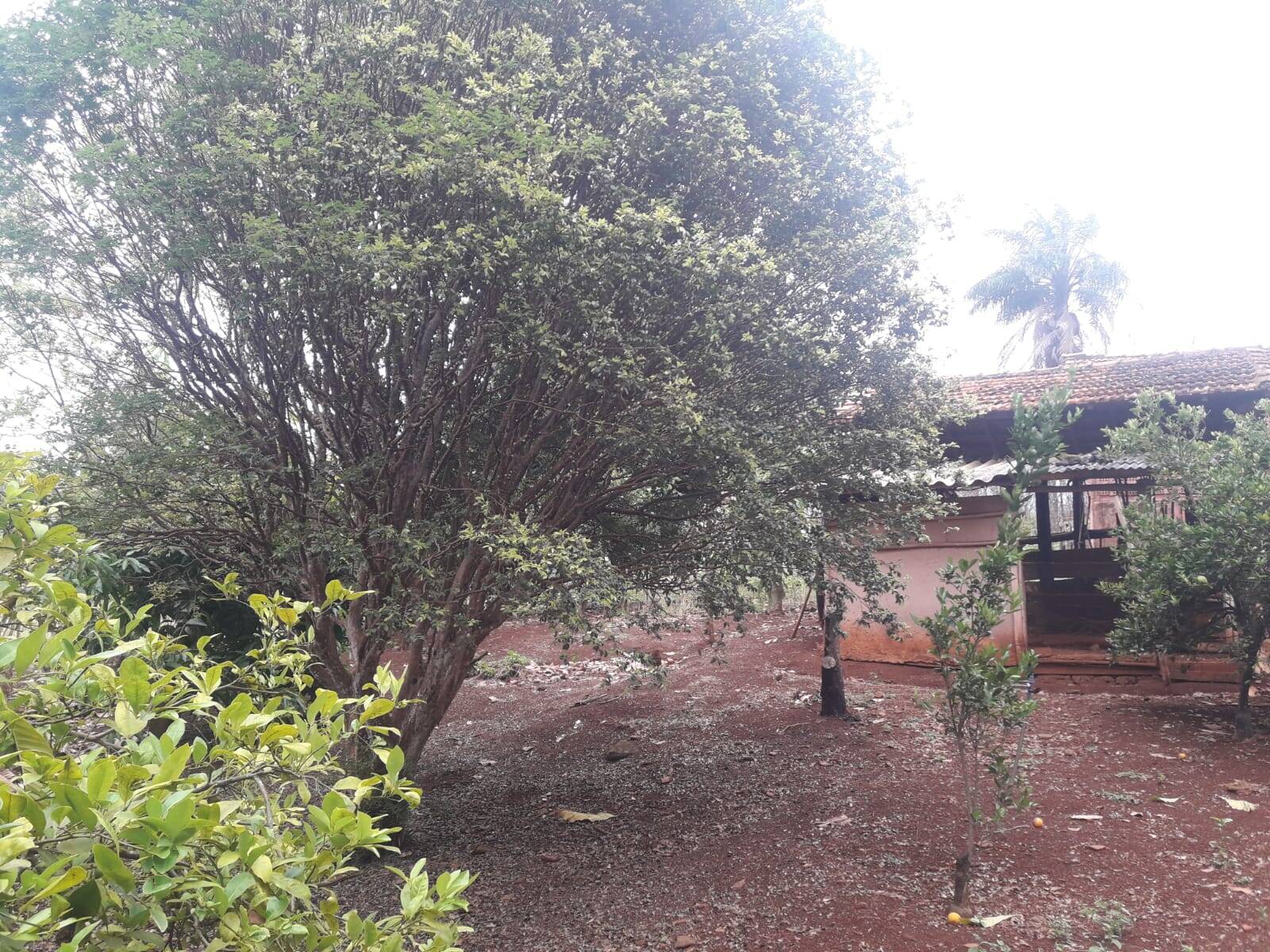 Sítio em São Tomás de Aquino/Minas Gerais — Ref UPHZDS — Imagem 27