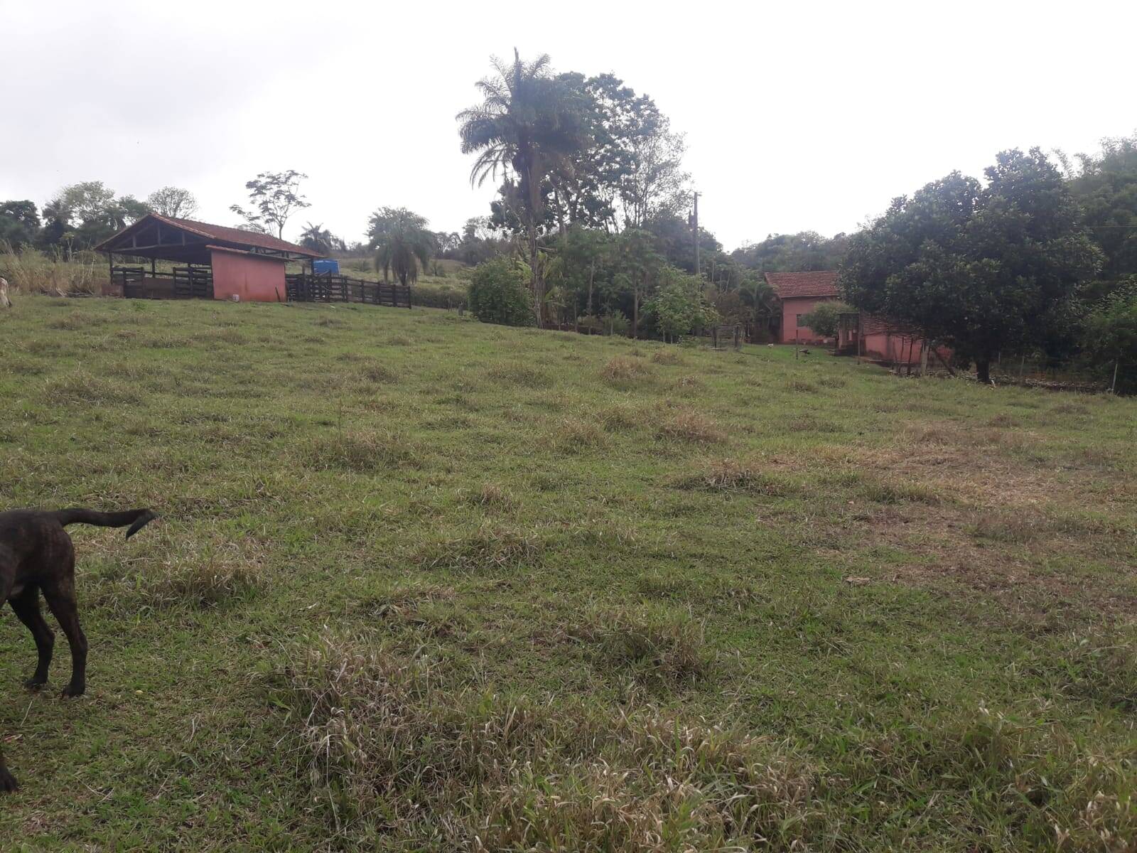 Sítio em São Tomás de Aquino/Minas Gerais — Ref UPHZDS — Imagem 32