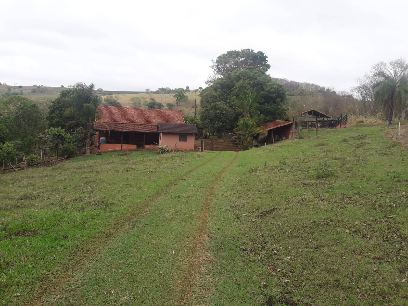 Sítio em São Tomás de Aquino/Minas Gerais — Ref UPHZDS — Imagem 31