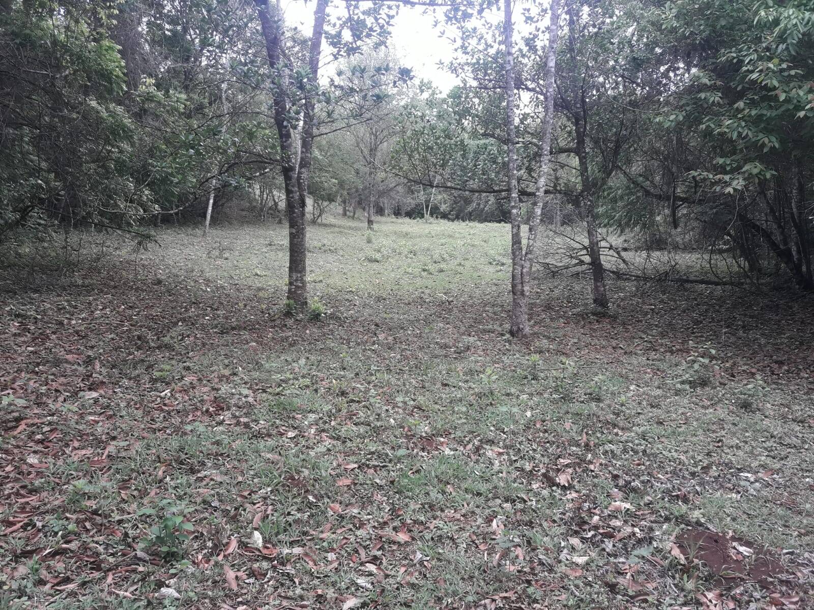 Sítio em São Tomás de Aquino/Minas Gerais — Ref UPHZDS — Imagem 34