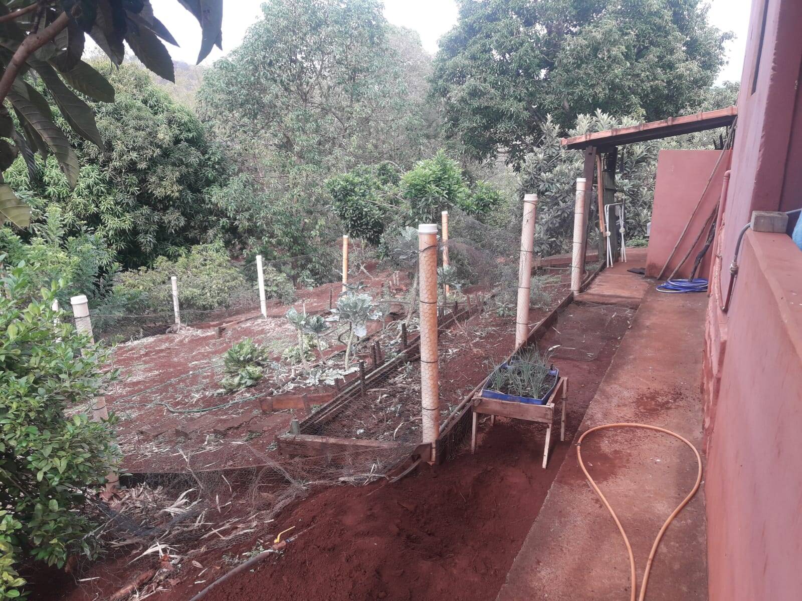 Sítio em São Tomás de Aquino/Minas Gerais — Ref UPHZDS — Imagem 36