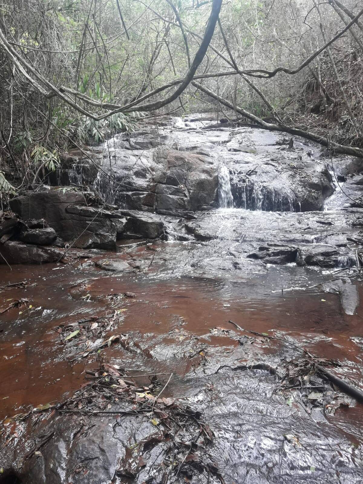 Sítio em São Tomás de Aquino/Minas Gerais — Ref UPHZDS — Imagem 40